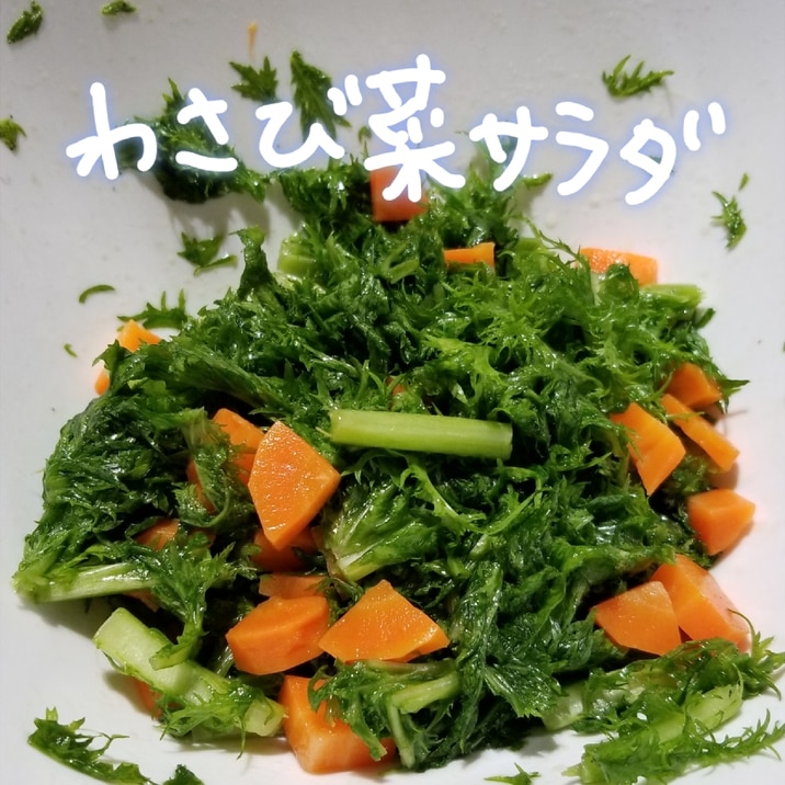 簡単 中華風わさび菜サラダ レシピ 作り方 By 名前のないうさぎ 楽天レシピ 簡単 中華風わさび菜サラダ レシピ 作り方 By 名前のないうさぎ 楽天レシピ